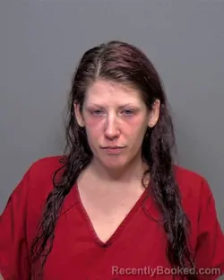 Mugshot of Lindsay Jordan Boston