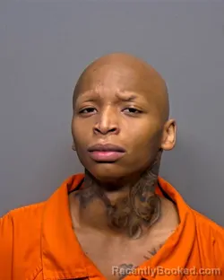 Mugshot of Tyler Tyrell Hannah