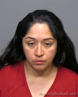 Mugshot of Vanessa Marie Galvan