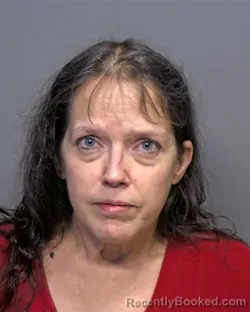 Booking photo from Porter County, Indiana