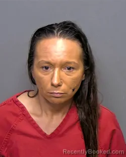 Mugshot of Melodie Brooke Saraceno