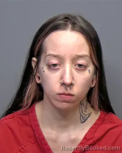 Mugshot of Bailee Anne Gardner