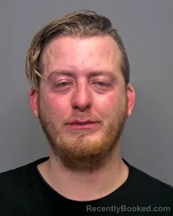 Mugshot of Dustin Earl Wells