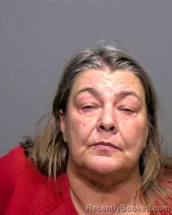 Mugshot of Debra Ann Howard