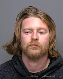 Mugshot of Michael Judson Fedele