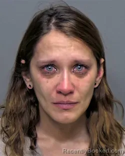 Mugshot of Nicole Elizabeth Maslanka