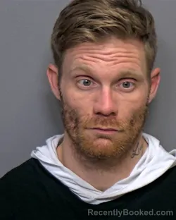 Mugshot of Anthony Brent Elijah Novetske