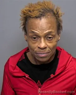 Mugshot of Kimberly Denise Williams