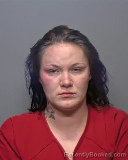 Booking photo from Porter County, Indiana