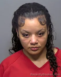 Booking photo from Porter County, Indiana