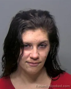 Booking photo from Porter County, Indiana