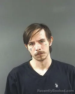 Mugshot of RAYMOND W PARKS