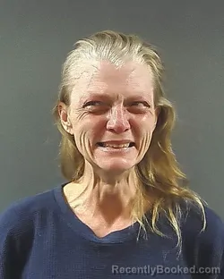 Mugshot of MARY R PARKS