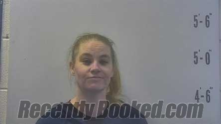 Booking photo from Pulaski County, Indiana