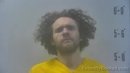 Booking photo from Pulaski County, Indiana