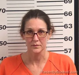 Mugshot of JENNY LYNN DAVIES