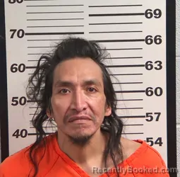 Mugshot of TINOLA DAVID WILDCAT