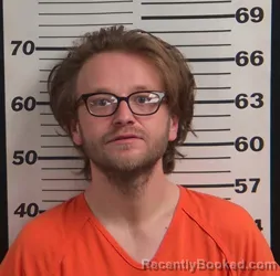 Mugshot of WILLIAM GEORGE LEONARDO