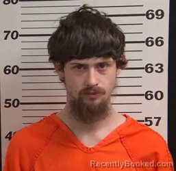 Mugshot of CHRISTOPHER BAILEY BURCH