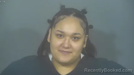 Booking photo from St Joseph County, Indiana