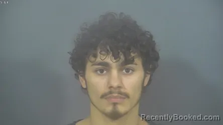 Mugshot of GAVIN LEE MARTIN