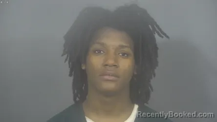 Mugshot of LAVONTAE JERIAMHA MCLAURIN
