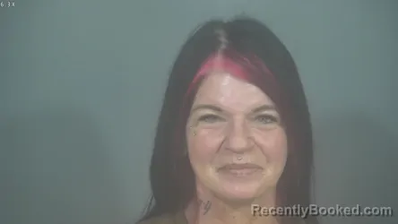 Booking photo from St Joseph County, Indiana