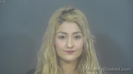 Booking photo from St Joseph County, Indiana