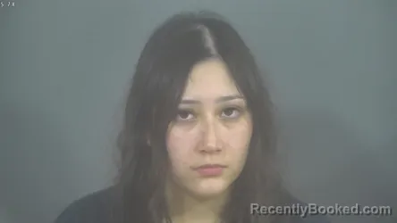 Booking photo from St Joseph County, Indiana