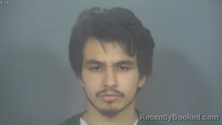 Booking photo from St Joseph County, Indiana