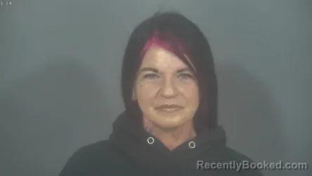 Booking photo from St Joseph County, Indiana