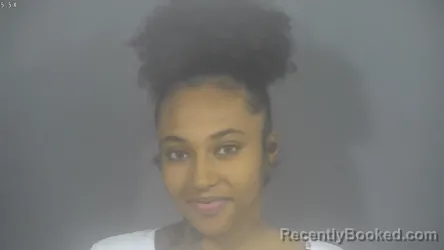 Mugshot of ASHLEY ALIZABETH JOHNSON
