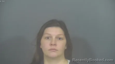 Mugshot of MEGAN EMILY PLASTERER