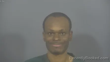 Mugshot of RONNIE LEE JR BLUE