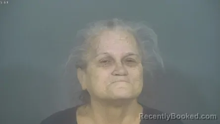 Mugshot of MANDA SUE ALBERT