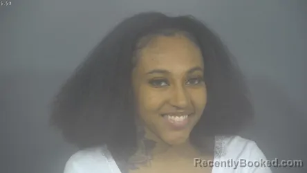 Mugshot of ASHLEY ALIZABETH JOHNSON