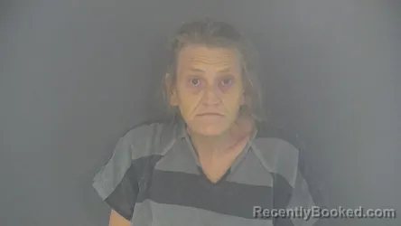 Mugshot of BRANDI LYNN BURNINE