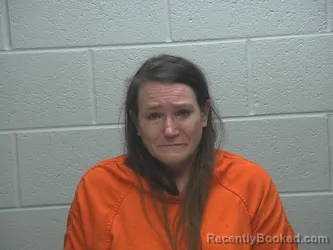 Mugshot of JULIE KAYE SATTISON