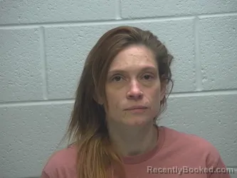 Mugshot of DANNI LYNN NICKOLS