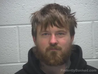 Mugshot of ALBERT LEE WATSON