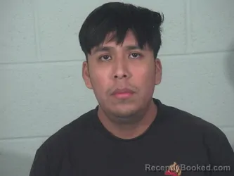 Mugshot of JAEL REYES TORRES