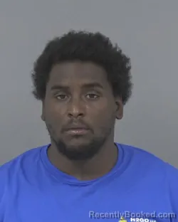 Mugshot of GLORIOUS PRINCE UNIQUE BRIGHT