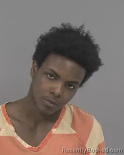 Mugshot of TRAY`VIAN TRE`VEL BROWN