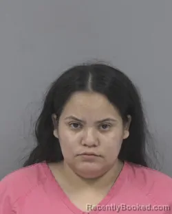 Mugshot of ROSA ISELA SABALSA CELIS