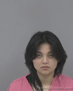 Booking photo from Johnston County, North Carolina