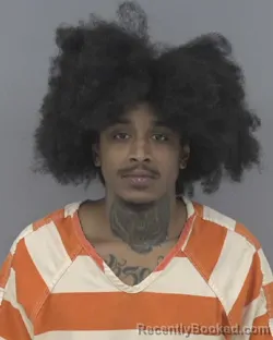 Mugshot of ALONZA HUNTER