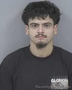 Mugshot of IVAN ARREDONDO MORALES