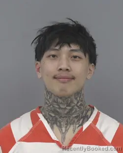 Mugshot of VINCENT NI