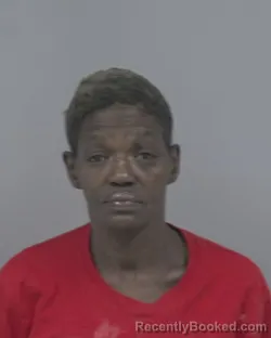 Booking photo from Johnston County, North Carolina