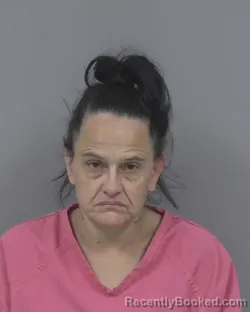 Mugshot of WENDY DAWN SANDERS